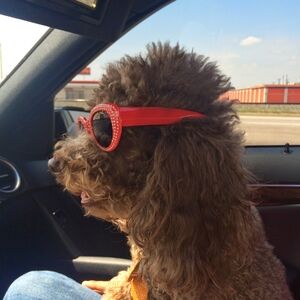 Extra Shipping Lavel For ADRIANA 🥰